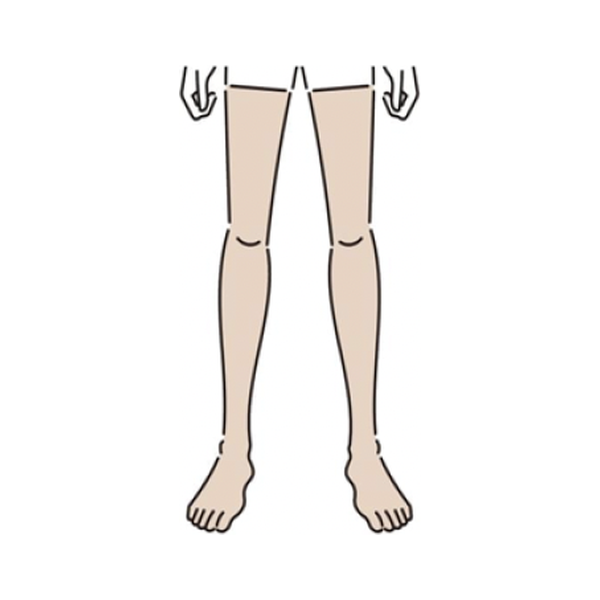 脚全体脱毛のイラスト
